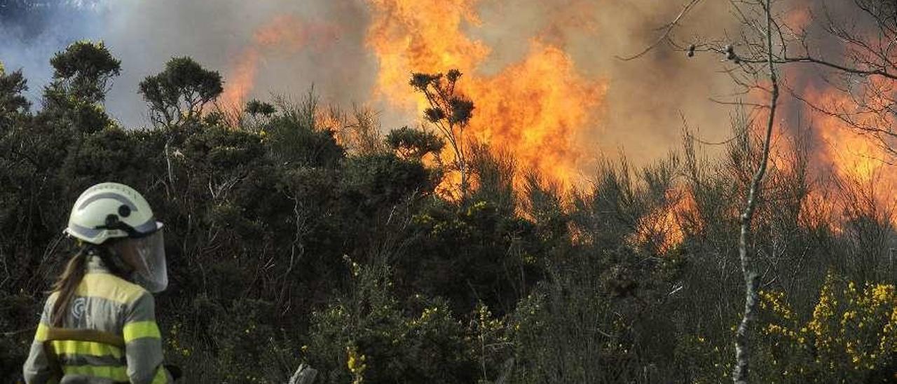 Una trabajadora forestal contempla un incendio en Lebozán, el año pasado. // Bernabé/Javier Lalín