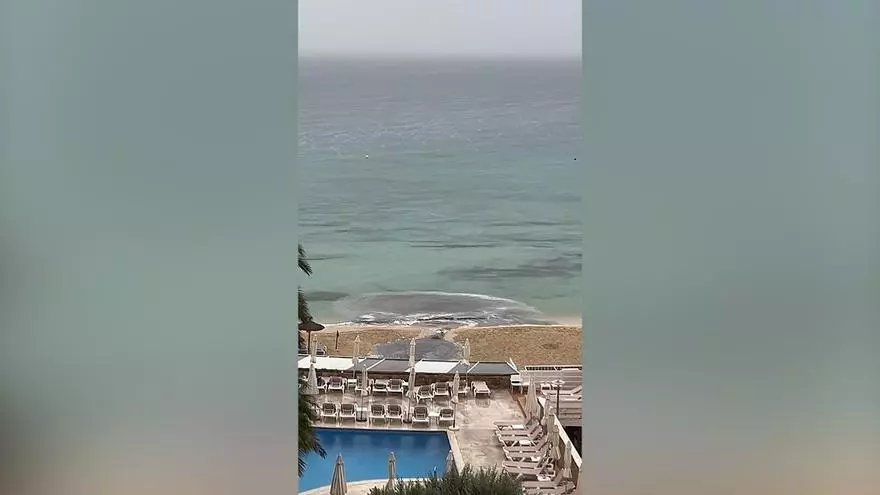 VÍDEO | El temporal precipita un vertido de aguas fecales en Cala Mayor