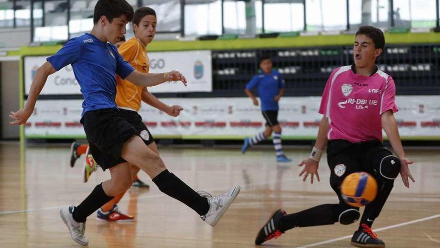 Imagen de uno de los encuentros jugados ayer en el pabellón de Navia. // Ricardo Grobas