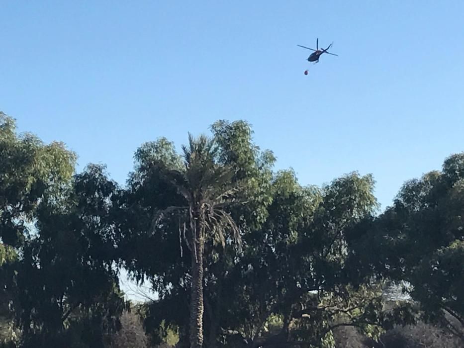 Un nuevo incendio afecta a la pinada de Guardamar