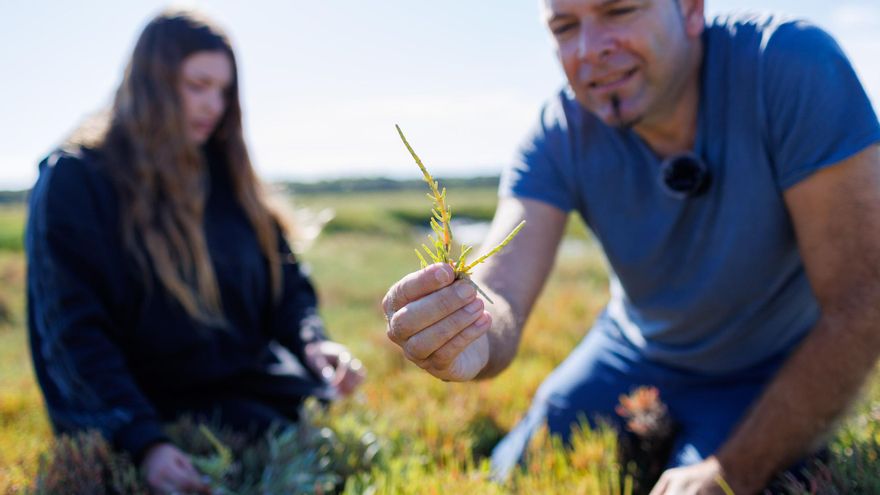 Joan Montaner, el neurólogo que aspira a prevenir el ictus con plantas de la bahía de Cádiz