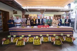 Spar venderá en sus supermercados 8.000 kilos de manzana reineta de Valleseco
