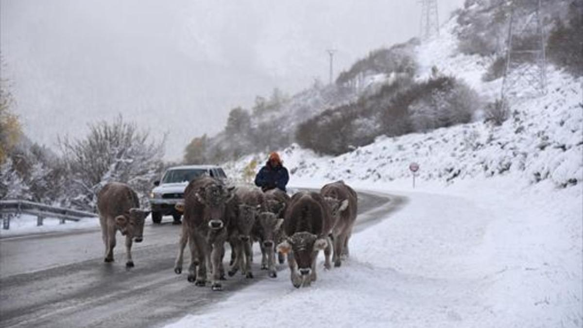 LA NIEVE, EL FRÍO Y EL VIENTO LLEGAN A CATALUNYA_MEDIA_2