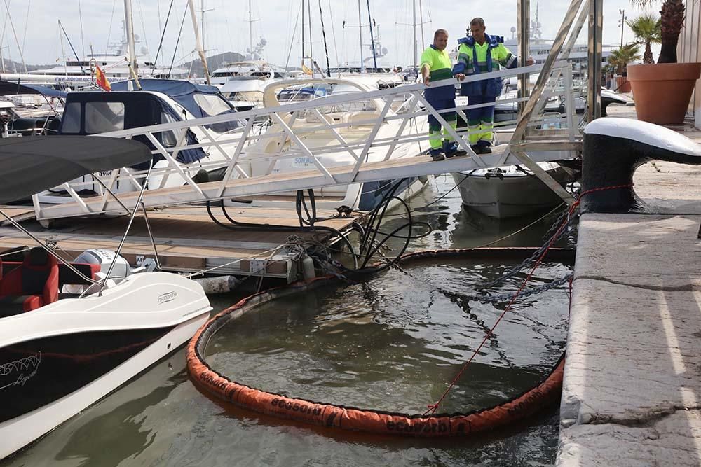 Vertidos por el temporal en el Puerto de Ibiza.