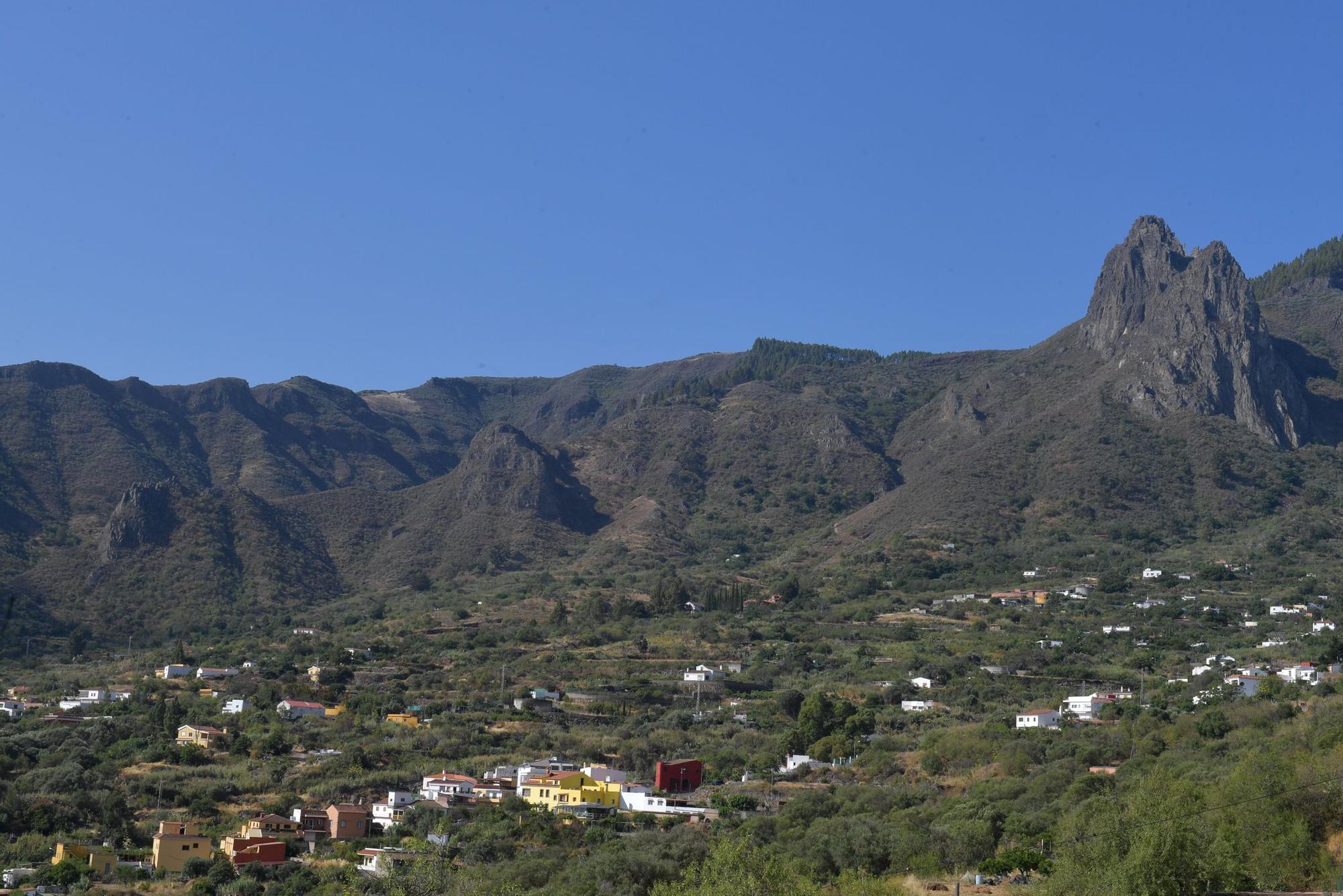 Suelta de milano negro en Valsequillo