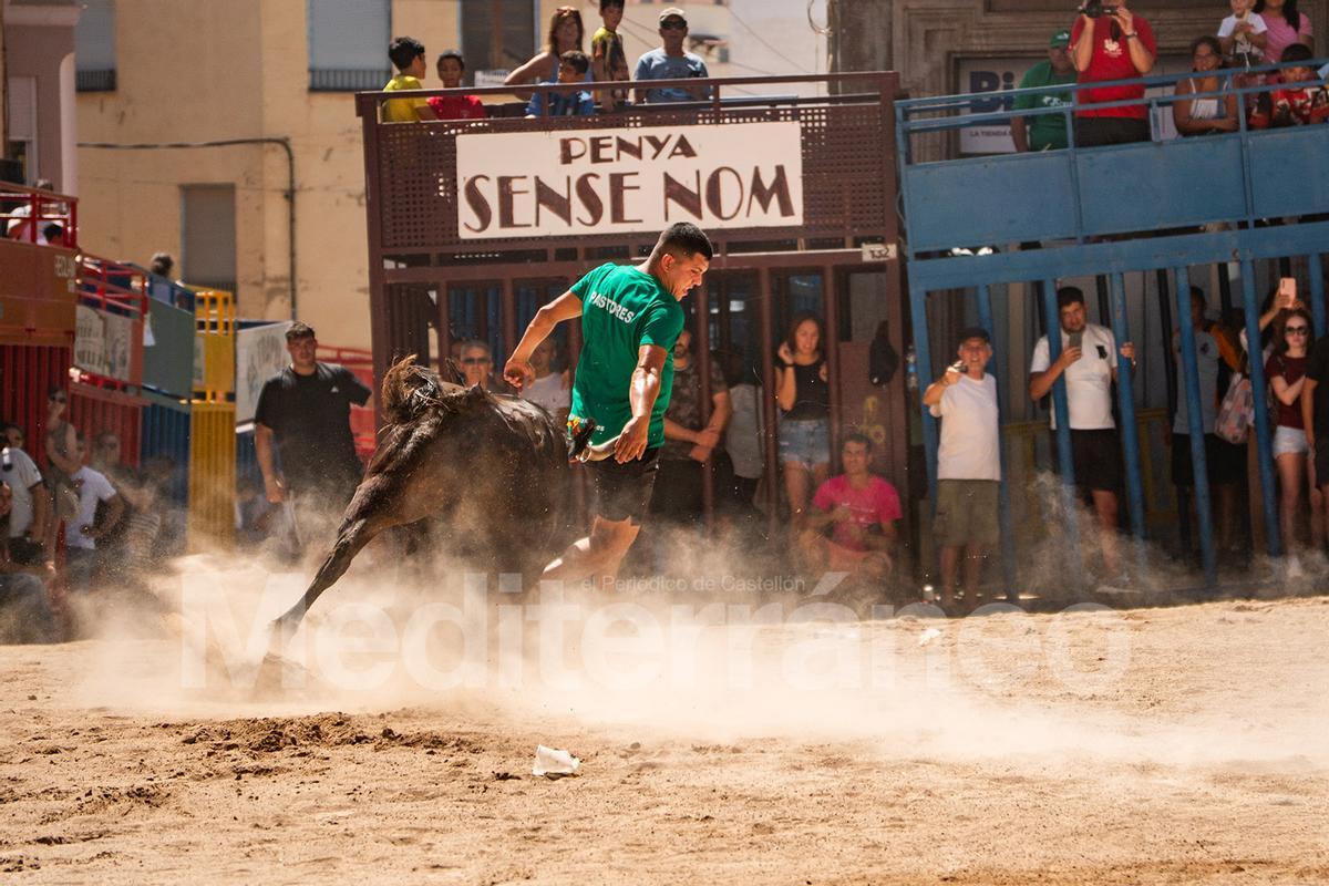 Bous a l'Alcora 2025