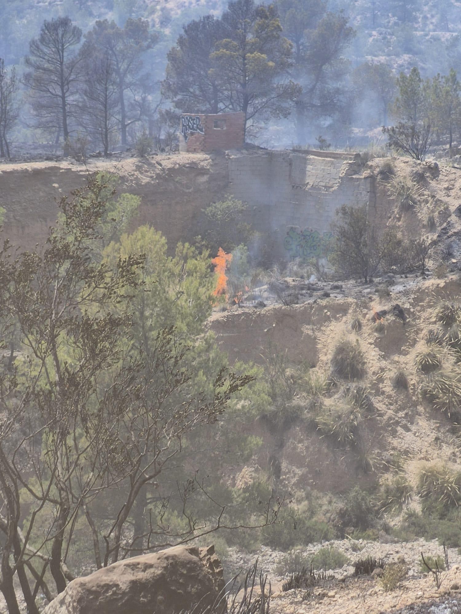 El incendio en las inmediaciones del preventorio de Aigües, en imágenes