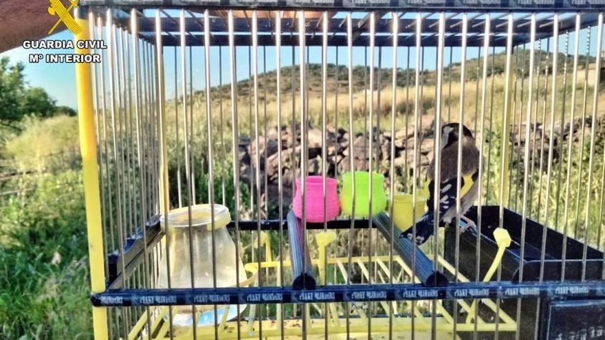 La Guardia Civil sorprende a un vecino de Badajoz cazando aves con artes prohibidas
