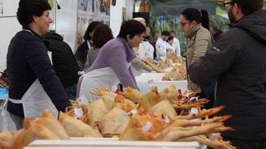 Gallos a la venta en una edición anterior de la feria. // Bernabé