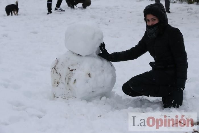 Nieve en Coy y Avilés (Lorca)