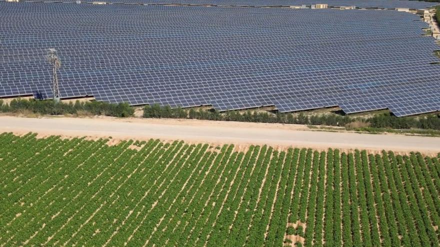 Entre la Luz y la Sombra: agricultores  murcianos en pie contra expropiaciones para fotovoltaicas en tierras fértiles