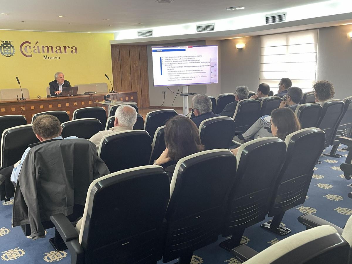 Segunda jornada de presentación del Esquema Provisional de Temas Importante, sobre retos relacionados con el saneamiento y la depuración.