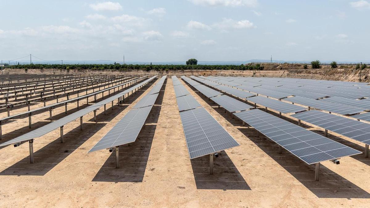 La central fotovoltaica de Aguas de Alicante en Bacarot tendrá que esperar: estas son las razones del rechazo del Ayuntamiento