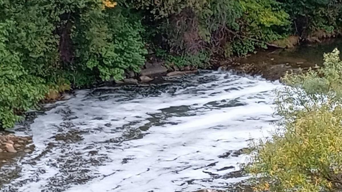 Piden año y medio de cárcel para cinco implicados en un vertido de nitratos en la sierra de La Curiscada (Tineo), que causó la muerte de dos vacas al envenenar los abrevaderos