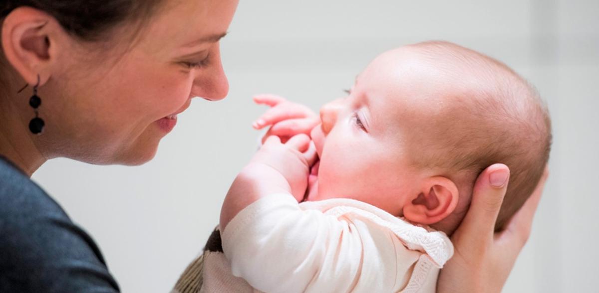 vinculo materno filial