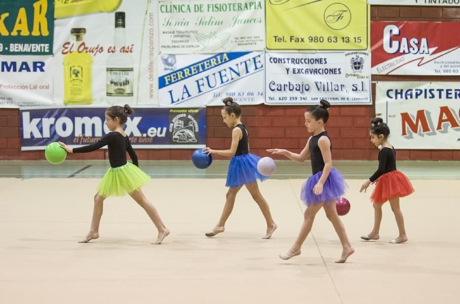 Exhibición de la Escuela de gimnasia rítmica