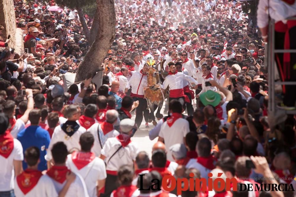 Carrera de los Caballos del Vino