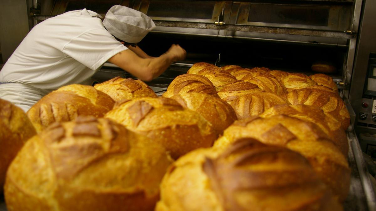 El pan, contra todo pronóstico, tiene múltiples beneficios nutricionales y no engorda.