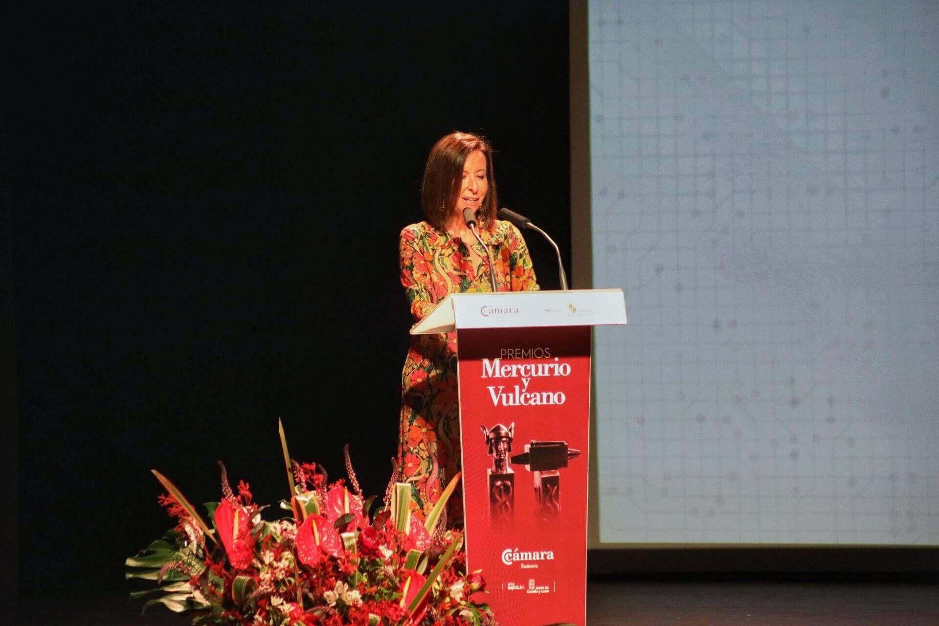 Zamora. 37ª edición de los Premios Mercurio y Vulcano y las Medallas a la Dedicación Empresarial y Lealtad a la empresa.