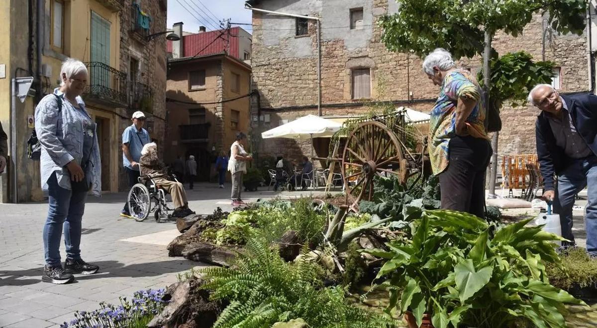 Uno de los espacios del Santpedor en Flor del año pasado.