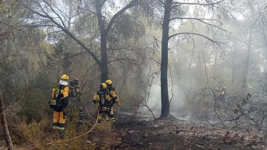 Ultima ora e attualità sugli incendi in Spagna