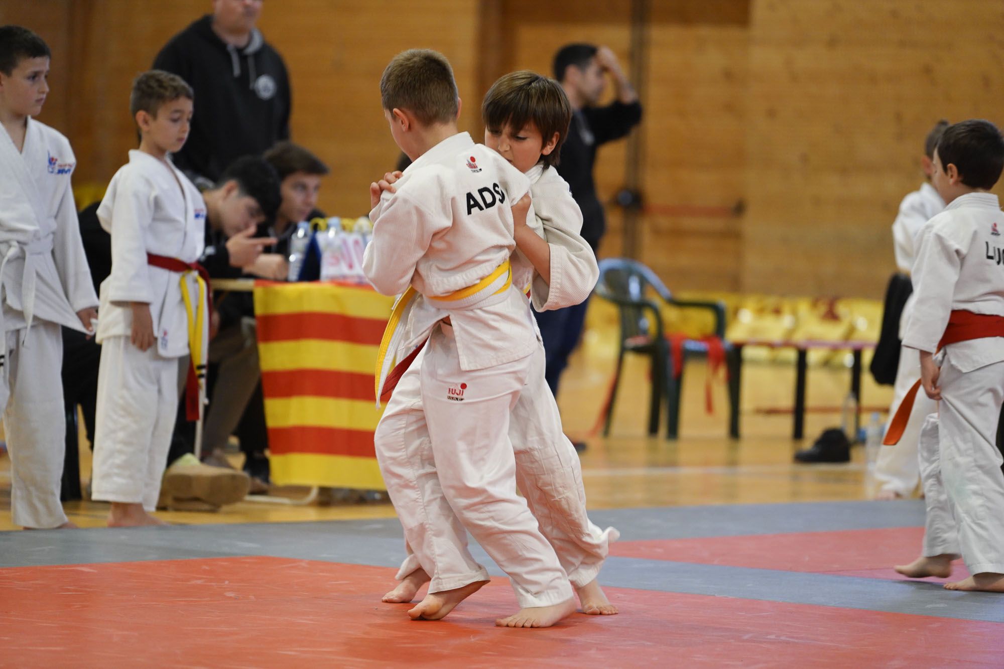 Les imatges del torneig infantil de judo de l'Escola 7