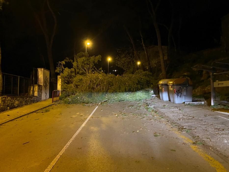 El vent provoca destrosses a les comarques gironines