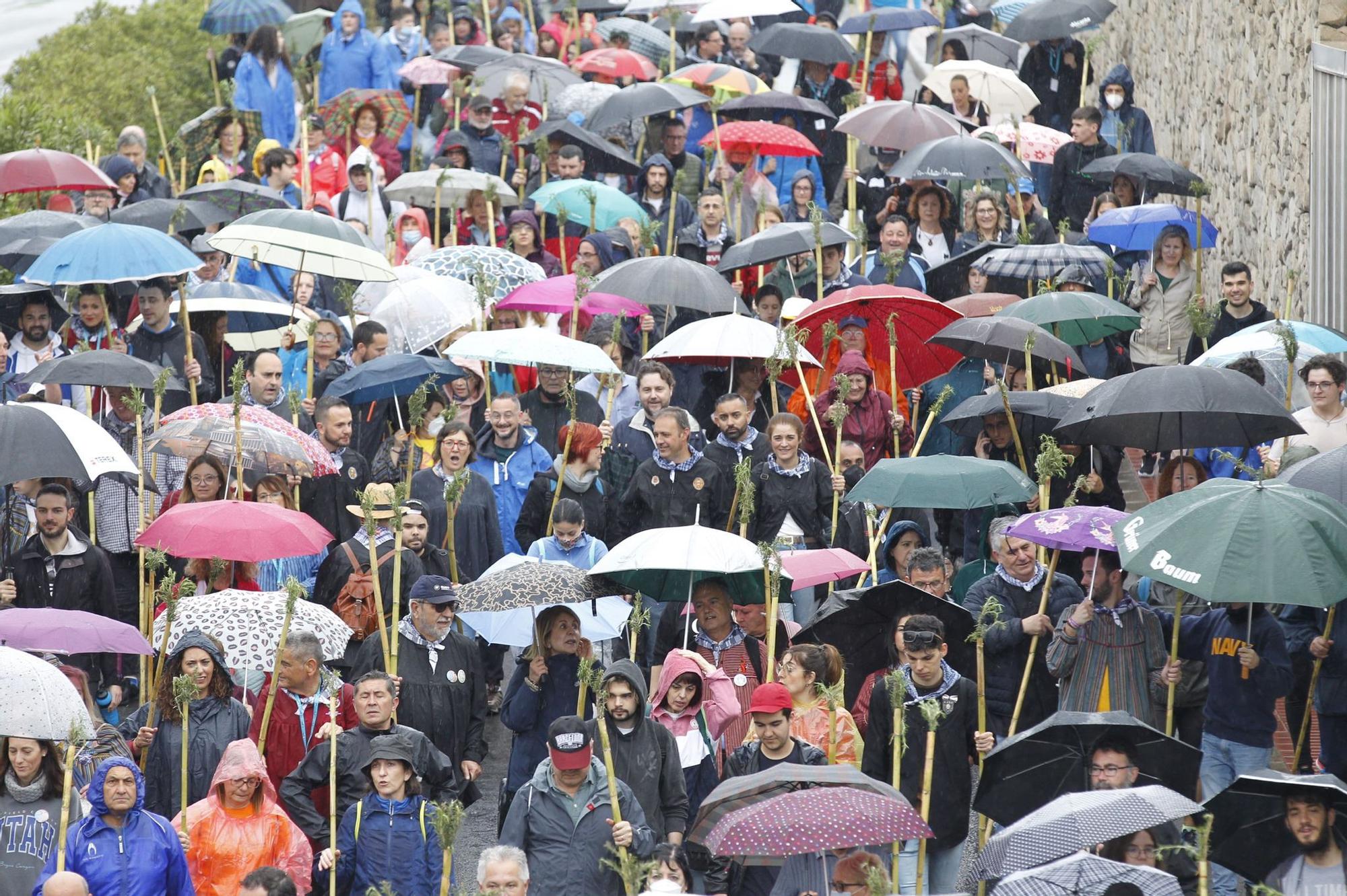 Miles de alicantinos acompañan a la Santa Faz en su peregrinación pese a la lluvia