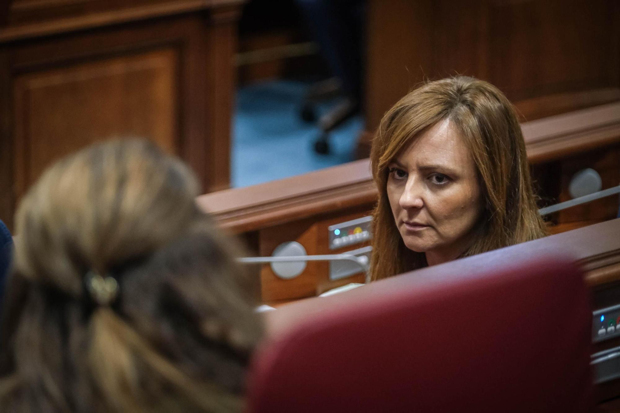 Pleno del Parlamento de Canarias