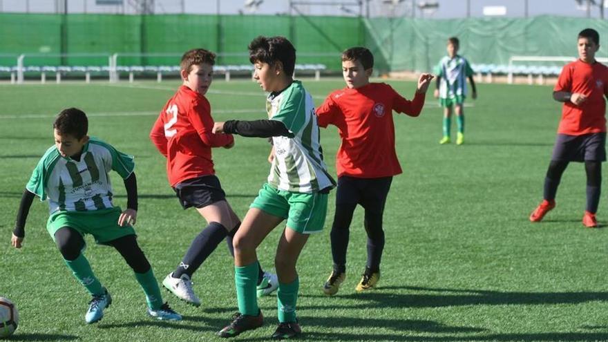 Cerca de 300 niños participan en el Memorial Antonio Gómez