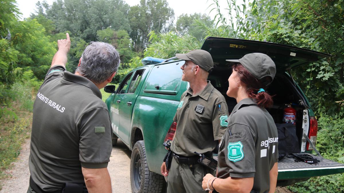 Els Agents Rurals inspeccionant una torre a Girona. | GERARD VILÀ