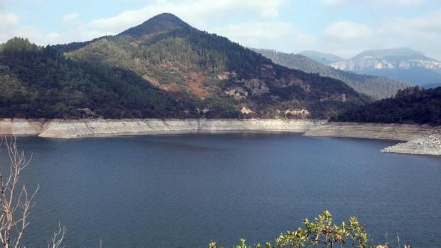 «La resposta és en la natura»