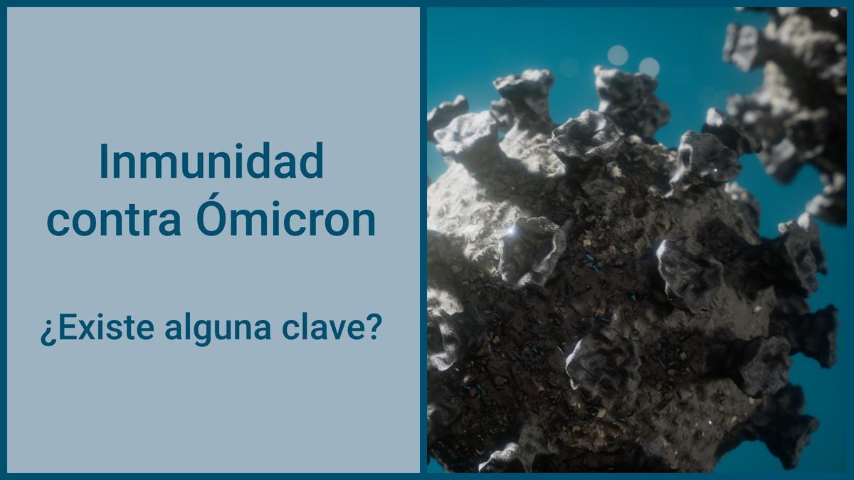 La clave de la inmunidad contra Ómicron está en el resfriado común