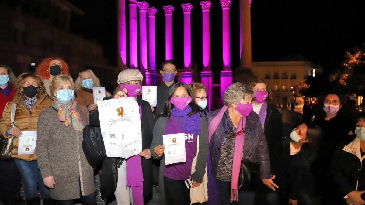 El Pleno de Córdoba ratifica su compromiso en la lucha contra la violencia machista