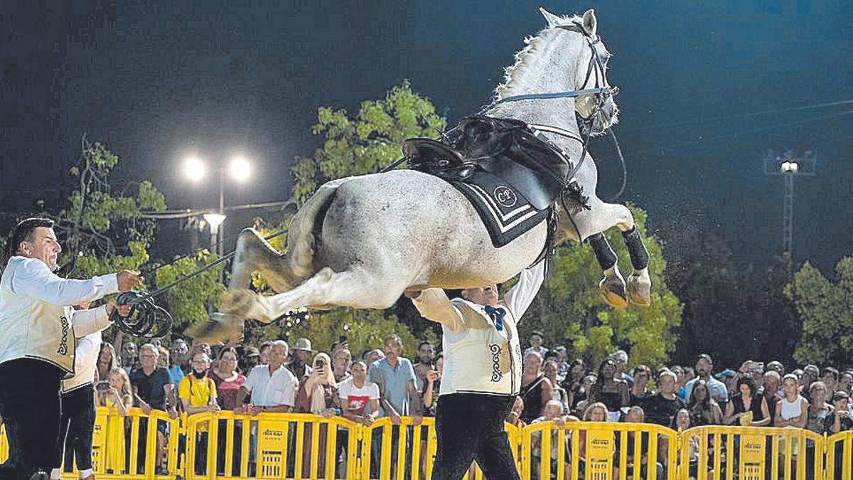 Concurso Nacional de Caballos de Pura Raza Española.