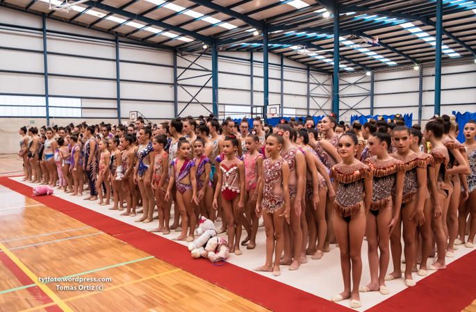 Regional de gimnasia rítmica