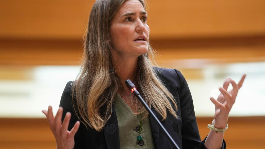 La gran industria se rebela contra el recorte de 475 millones del Gobierno a sus plantas eléctricas: “Es nuestra sentencia de muerte”