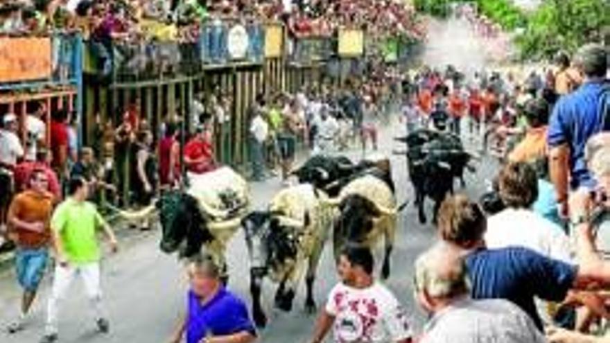 Toros de Herederos Conde de la Corte protagonizarán el encierro de fiestas