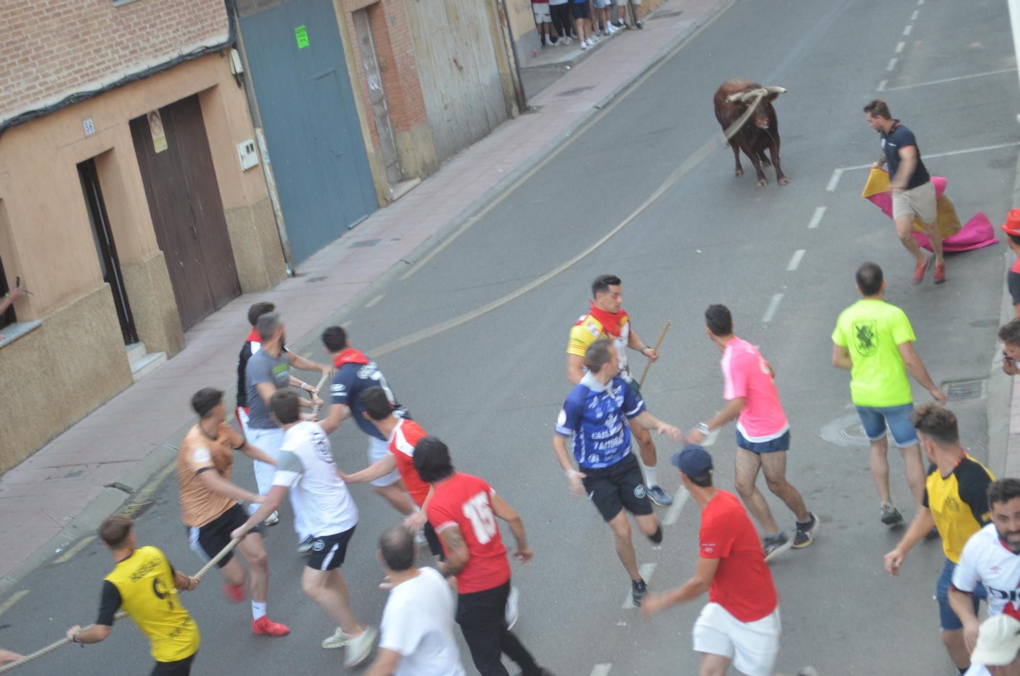 Así ha sido la carrera del torito Espléndido en Benavente