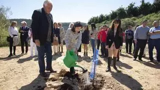 Japón planta cerezos en un pueblo valenciano de 100 vecinos