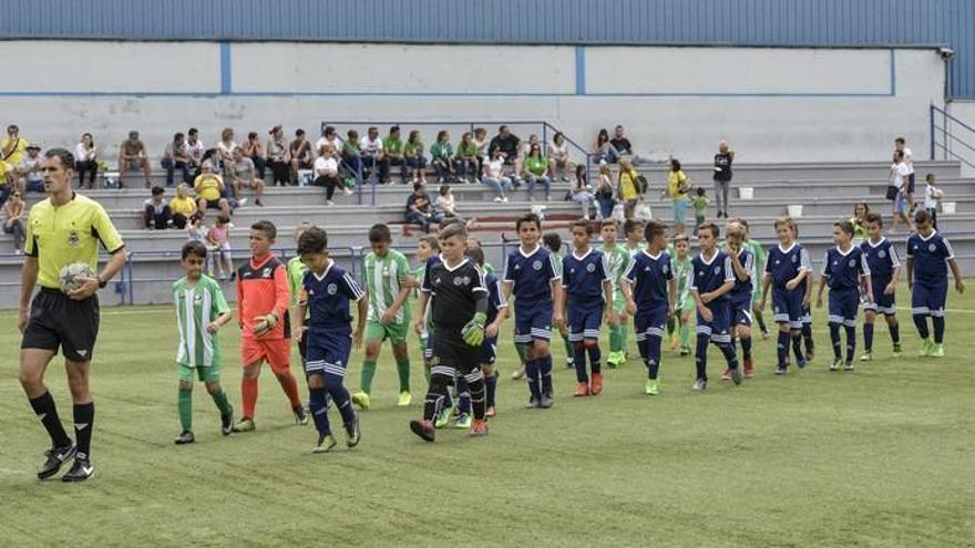 Copa de campeones benjamines: Becerril - Puerto