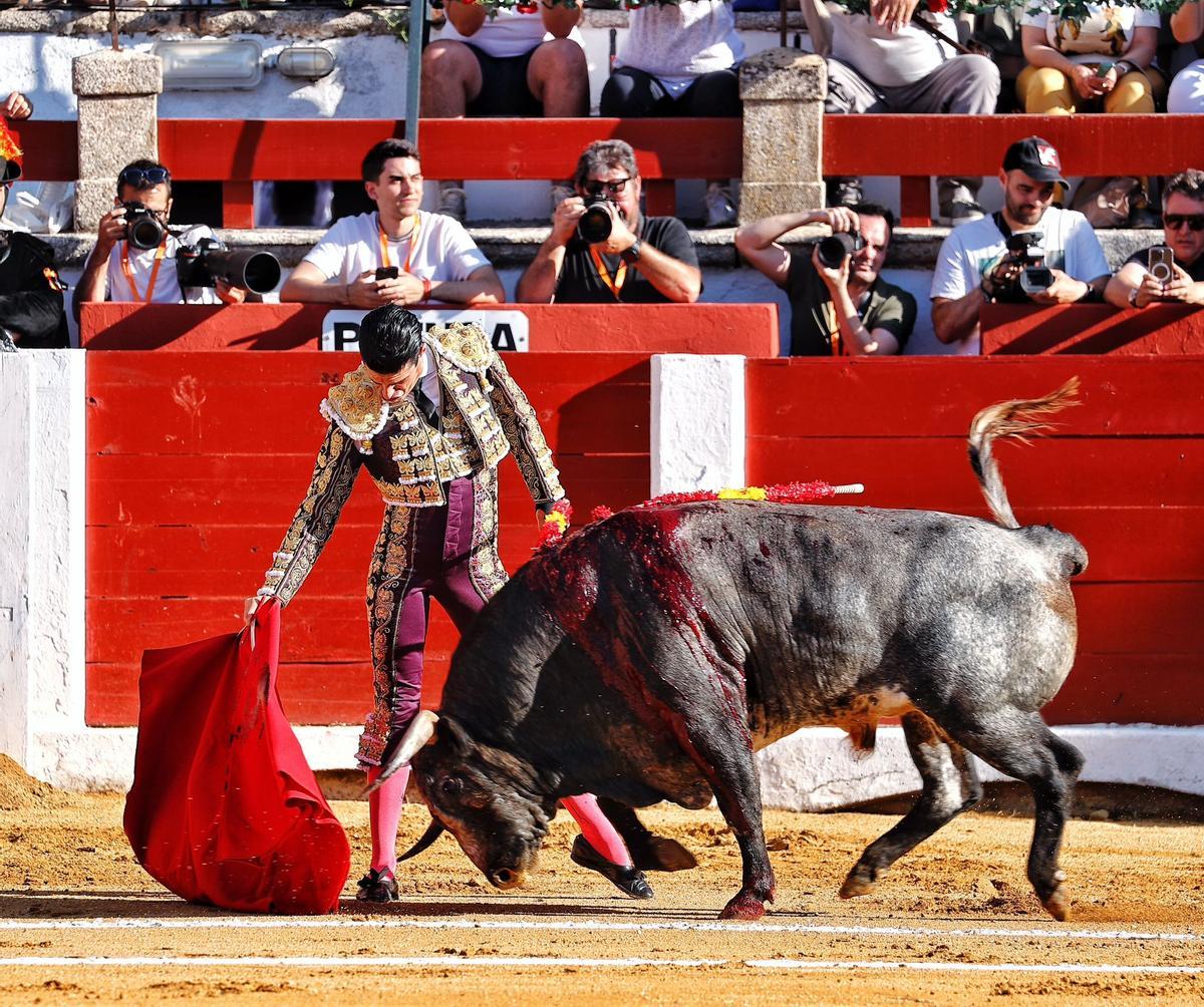 Alejandro Talavante.