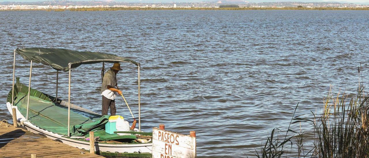 Seis de cada diez denuncias en l’Albufera son ataques a la fauna