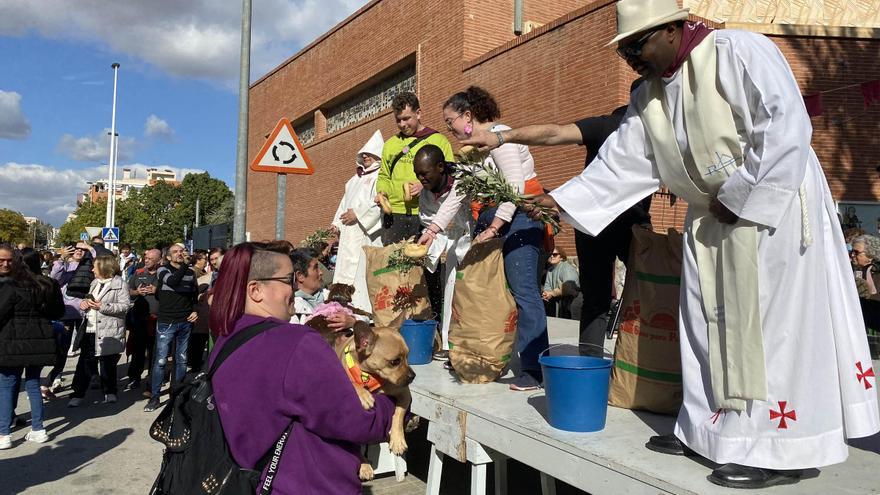 San Antón lo vuelve a conseguir con una romería que cautiva