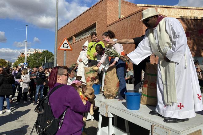 San Antón lo vuelve a conseguir con una romería que cautiva