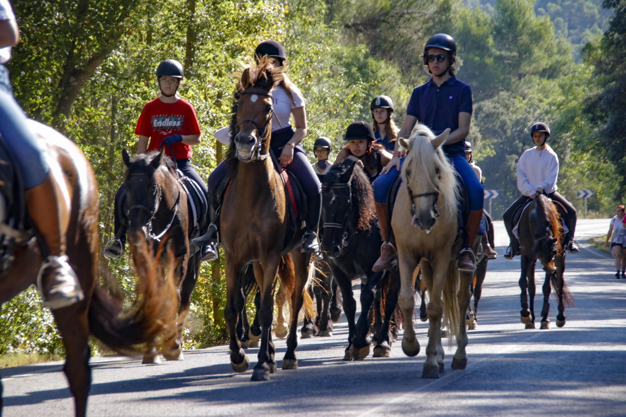 Alcoy vuelve a celebrar tres años después la romería de la Font Roja