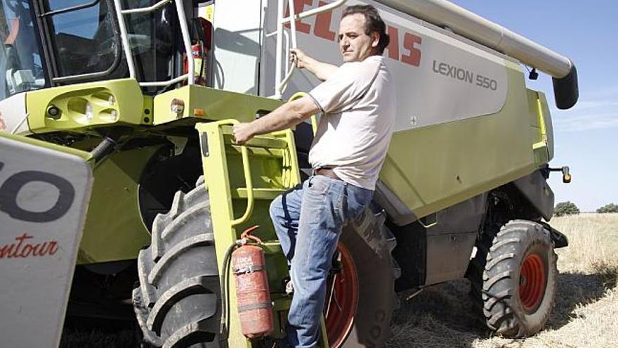 Santiago González sobre la cosechadora en una parcela de Moreruela de Tábara.