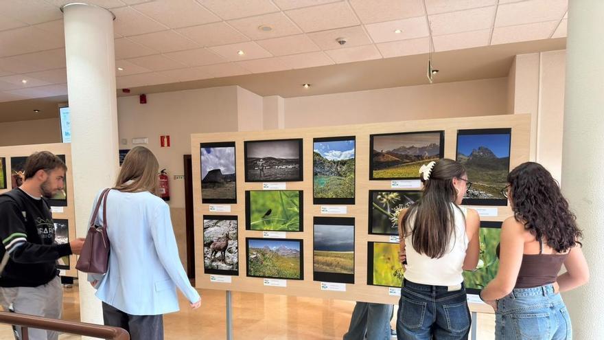 La Universidad pone el foco en los pastizales asturianos