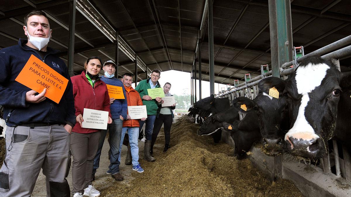 Los ganaderos protestando en una granja de vacas de Palio