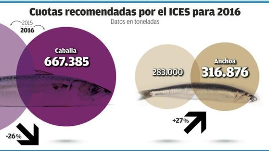 Los científicos recomiendan recortar un 26% el cupo de xarda y subir los de jurel y anchoa